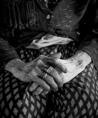 A cover of "brain-storm" cluster. The owner is catarina.ug. The cluster consists of 47 elements.