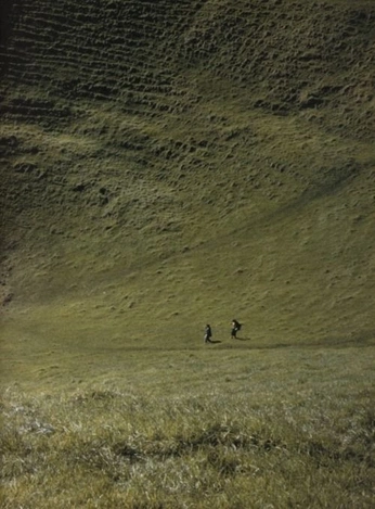 A cover of "Nature" cluster. The owner is eighthvictim. The cluster consists of 61 elements.