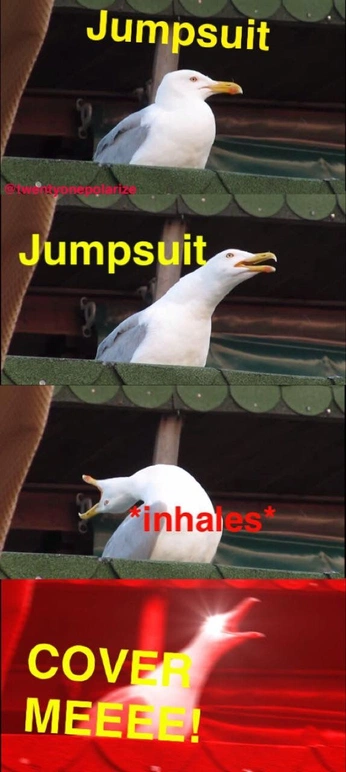 A cover of "archived memes (‘17-19)" cluster. The owner is taylor13. The cluster consists of 4 elements.