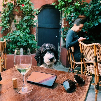 A cover of "La Pharmacie du Vin" cluster. The owner is dilan. The cluster description is "My favorite wine bar in LA". The cluster consists of 7 elements.