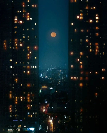 A cover of "Night Photos" cluster. The owner is raccoonman. The cluster consists of 1 element.