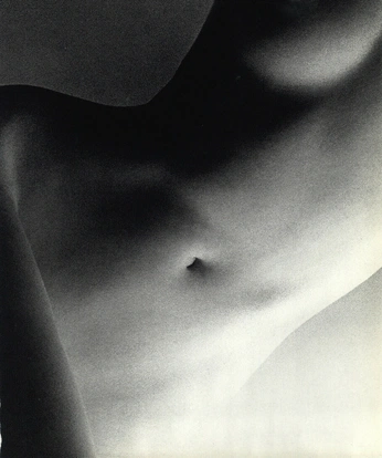 A cover of "au naturel, nude, human" cluster. The owner is jha. The cluster description is "a study of the human body". The cluster consists of 10387 elements.