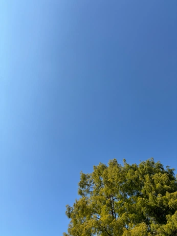 A cover of "rullino" cluster. The owner is thomnova. The cluster consists of 4 elements.