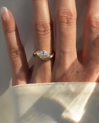 A cover of "ring" cluster. The owner is tayloralber. The cluster consists of 1 element.