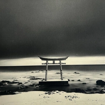 A cover of "photography" cluster. The owner is myloxailo. The cluster consists of 1 element.