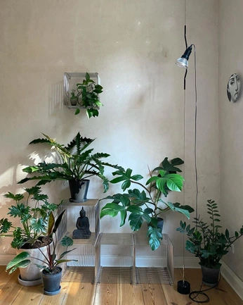 A cover of "robert plant" cluster. The owner is siobhanbrandman. The cluster consists of 1 element.