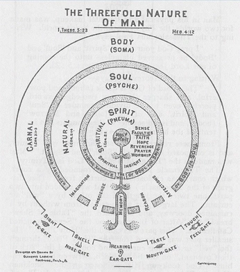 A cover of "sacrifical lamb core" cluster. The owner is merrywandering. The cluster description is "anything worth something must be paid in blood. that’s the only rule.". The cluster consists of 55 elements.