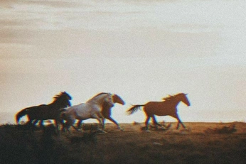 A cover of "Running" cluster. The owner is groosha. The cluster consists of 25 elements.