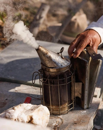 A cover of "Leather Panels World" cluster. The owner is mafkamari. The cluster consists of 1 element.