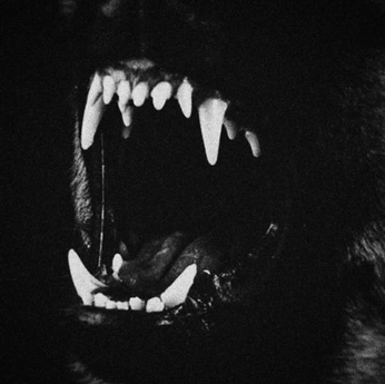 A cover of "the vision" cluster. The owner is philipwutang. The cluster consists of 195 elements.