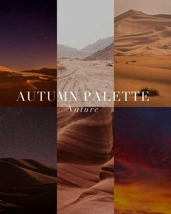 A cover of "herfst shoot" cluster. The owner is remadestudio. The cluster consists of 25 elements.