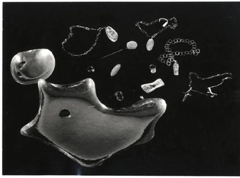 A cover of "Pinton" cluster. The owner is cousel0. The cluster consists of 16 elements.