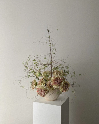 A cover of "Lily" cluster. The owner is riloh. The cluster consists of 23 elements.