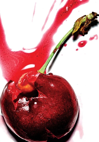 A cover of "TEXTURE/INGREDIENT" cluster. The owner is uncagedcreate. The cluster consists of 448 elements.