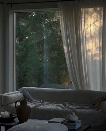 A cover of "aesthetics ✨" cluster. The owner is shriki. The cluster consists of 1 element.