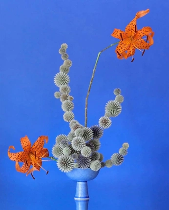 A cover of "Film prokect final plant" cluster. The owner is pmkcreative. The cluster consists of 3 elements.