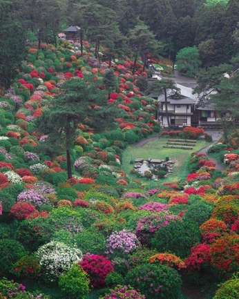 A cover of "Japan" cluster. The owner is averysa. The cluster consists of 16 elements.