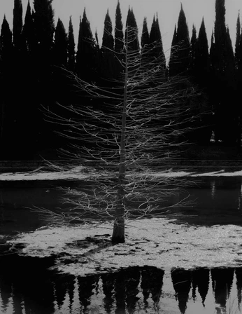 A cover of "TYPO / EDITION" cluster. The owner is ginaa.a. The cluster consists of 5 elements.