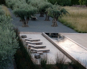 Cover of Landtecture cluster