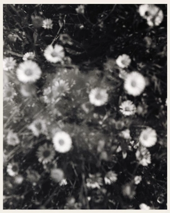 A cover of "test 3" cluster. The owner is maleable. The cluster consists of 1 element.