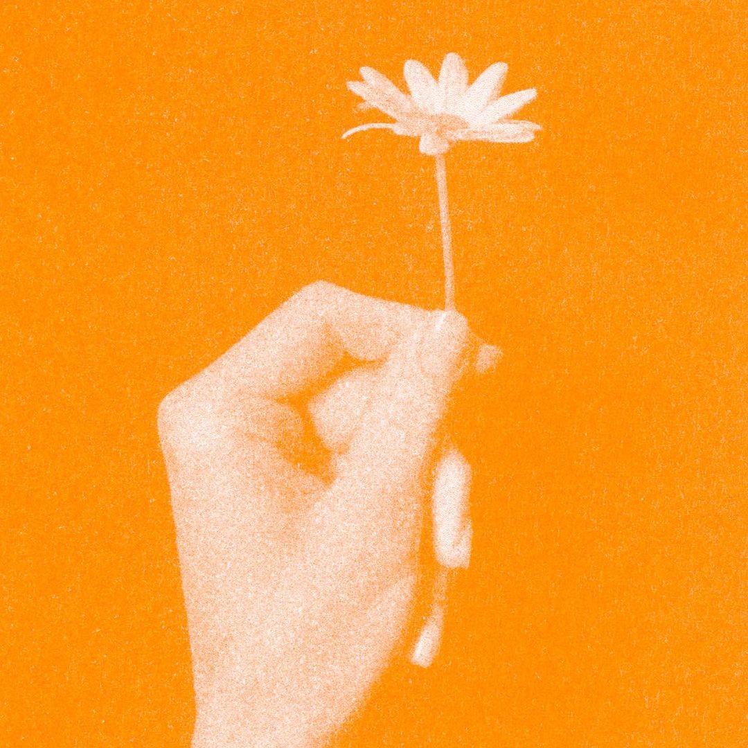 An Instagram  post added on Jun 03, 2024. The author is @herrundfraurio. May present: painting, herr & frau rio, plant, flower, amber.