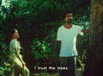 A cover of "Desi rainforest" cluster. The owner is liljaguar4life. The cluster consists of 11 elements.