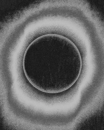 A cover of "it's a mood" cluster. The owner is demars. The cluster consists of 6 elements.