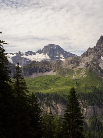 A cover of "photography" cluster. The owner is samtheman. The cluster consists of 35 elements.