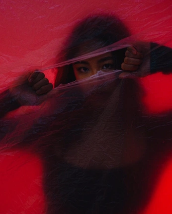 A cover of "Directive Creation" cluster. The owner is miguellauren. The cluster consists of 7 elements.