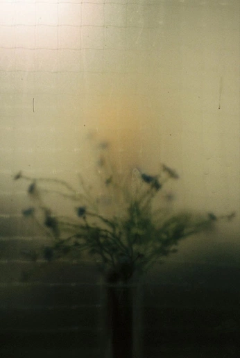 A cover of "textured" cluster. The owner is kldayeon. The cluster consists of 4 elements.