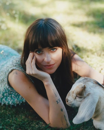 A cover of "Dakota Johnson" cluster. The owner is katerin13. The cluster consists of 3 elements.