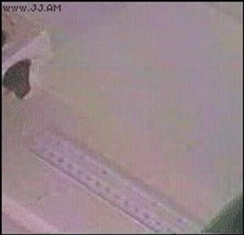 A cover of "Vds" cluster. The owner is siproetav. The cluster consists of 7 elements.