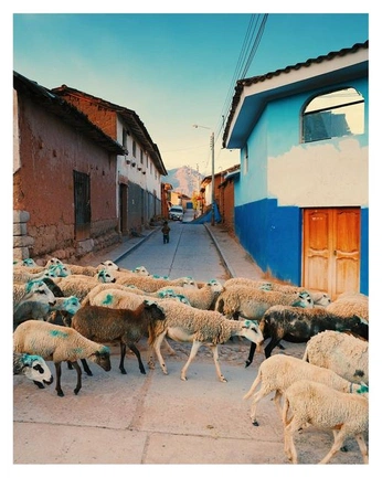 A cover of "Architecture" cluster. The owner is psychedelicindie. The cluster consists of 40 elements.