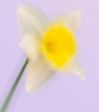 A cover of "Color" cluster. The owner is juliusloewe. The cluster consists of 24 elements.