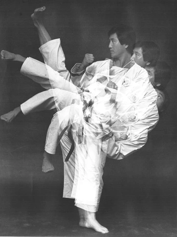 A cover of "JUDO Poster" cluster. The owner is fiji111. The cluster consists of 19 elements.