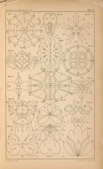 A cover of "Shapes/Patterns/Tiles" cluster. The owner is lovesloan. The cluster consists of 29 elements.