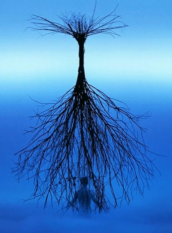 A cover of "week 15" cluster. The owner is emilyinparis. The cluster consists of 4 elements.