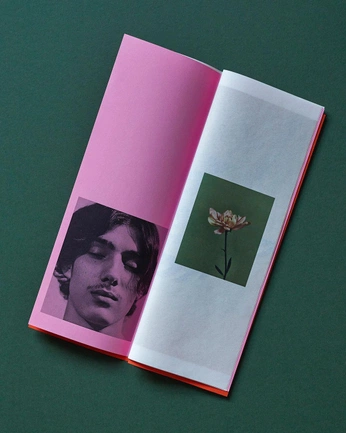 A cover of "reading material" cluster. The owner is dmc. The cluster consists of 5 elements.