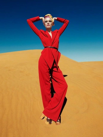 A cover of "Archive" cluster. The owner is jaxoliver. The cluster consists of 343 elements.