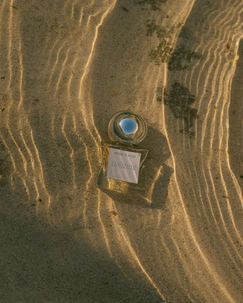 A cover of "shoot" cluster. The owner is ashassvi. The cluster consists of 3 elements.