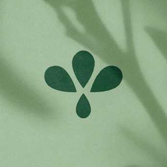 A cover of "Cece Cindy Project" cluster. The owner is khaeranatt. The cluster consists of 25 elements.