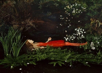 A cover of "Black Friday Shoot" cluster. The owner is jillianfarris. The cluster consists of 5 elements.