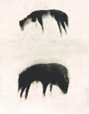 A cover of "collection 003" cluster. The owner is jakob03. The cluster consists of 128 elements.