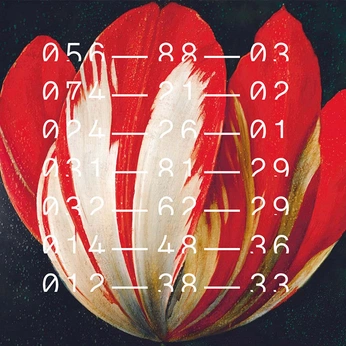 A cover of "Graphics" cluster. The owner is duvit. The cluster consists of 9 elements.