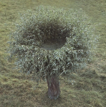 A cover of "organica" cluster. The owner is hikkodesign. The cluster consists of 146 elements.