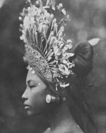 A cover of "BALI" cluster. The owner is indidz. The cluster consists of 7 elements.