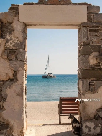 A cover of "Life" cluster. The owner is rrony. The cluster consists of 330 elements.