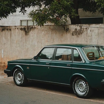 A cover of "jaguar" cluster. The owner is almaa.snz. The cluster consists of 25 elements.