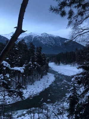 northernsiberianwinds avatar