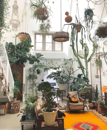 A cover of "Maxi" cluster. The owner is hugo04. The cluster consists of 15 elements.